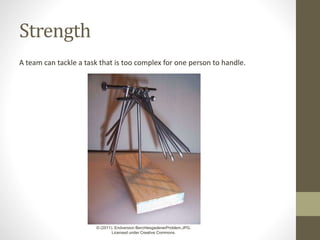 Strength
A team can tackle a task that is too complex for one person to handle.
© (2011). Endversion BerchtesgadenerProblem.JPG.
Licensed under Creative Commons.
 