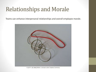 Relationships and Morale
Teams can enhance interpersonal relationships and overall employee morale.
© (2011). By Matěj Baťha. Licensed under Creative Commons.
 