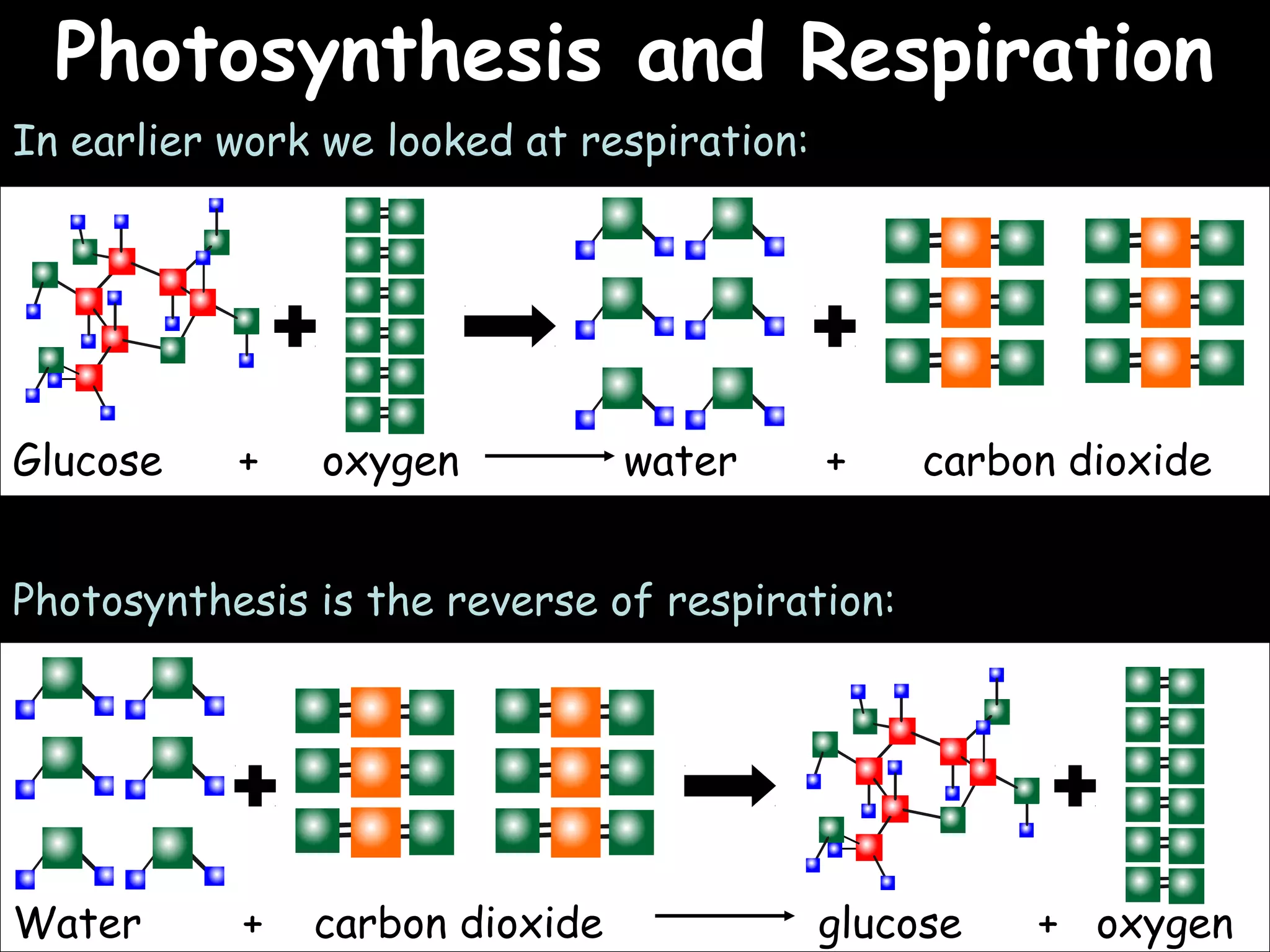 Photosynthesis and Respiration
                                                      25/02/13


In earlier work we looked at respiration:




Glucose    +   oxygen           water       +    carbon dioxide


Photosynthesis is the reverse of respiration:




Water      +   carbon dioxide               glucose      + oxygen
 