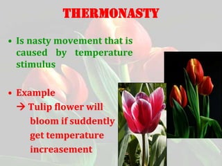 Thermonasty Example 8 8. movement in plant | PPTX