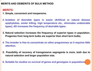 MERITS AND DEMERITS OF BULK METHOD
MERITS:
1. Simple, convenient and inexpensive.
2. Isolation of desirable types is easier (Artificial or natural disease
epiphytoties, winter killing, high temperature etc., eliminates undesirable
types). AS increases the frequency of desirable types.
3. Natural selection increases the frequency of superior types in population.
Progenies from long term bulks are superior than short term bulks.
4. The breeder is free to concentrate on other programmes as it requires little
attention.
5. Possibility of recovery of transgressive segregants is more, both due to
natural selection and larger population size.
6. Suitable for studies on survival of genes and genotypes in populations.
 
