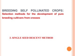 BREEDING SELF POLLINATED CROPS:
Selection methods for the development of pure
breeding cultivars from crosses
3. SINGLE SEED DESCENT METHOD
 