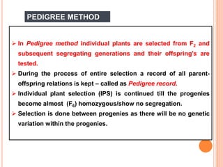 PEDIGREE METHOD
 In Pedigree method individual plants are selected from F2 and
subsequent segregating generations and their offspring's are
tested.
 During the process of entire selection a record of all parent-
offspring relations is kept – called as Pedigree record.
 Individual plant selection (IPS) is continued till the progenies
become almost (F6) homozygous/show no segregation.
 Selection is done between progenies as there will be no genetic
variation within the progenies.
 