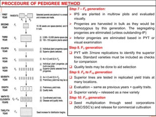 PROCEDURE OF PEDIGREE METHOD
Step 7 – F6 generation:
 IPS are planted in multirow plots and evaluated
visually.
 Progenies are harvested in bulk as they would be
homozygous by this generation. The segregating
progenies are eliminated (unless outstanding-IP)
 Inferior progenies are eliminated based in PYT or
visual examination
Step 8. F7 generation
 PYT with 3/more replications to identify the superior
lines. Standard varieties must be included as checks
for comparision
 Quality tests may be done to aid selection
Step 9. F8 to F10 generation
 Superior lines are tested in replicated yield trials at
many locations.
 Evaluation – same as previous years + quality traits.
 Superior variety – released as a new variety
Step 10. F11 generation
 Seed multiplication through seed corporations
(NSC/SSC’s) and release for commercial cultivation
 