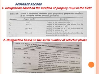 PEDIGREE RECORD
1. Designation based on the location of progeny rows in the Field
2. Designation based on the serial number of selected plants
 