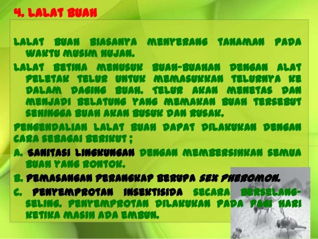 8 9 Hama Penyakit Pd Tanaman