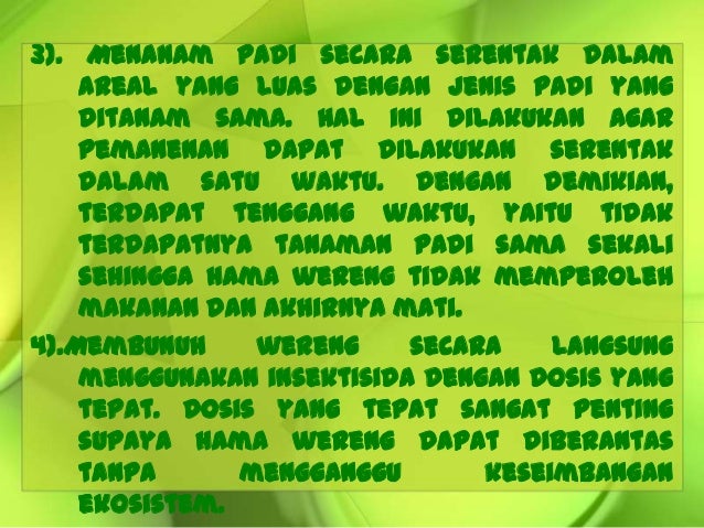 8 9 Hama Penyakit Pd Tanaman