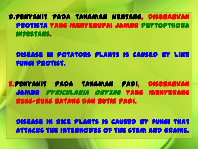 8 9 Hama Penyakit Pd Tanaman