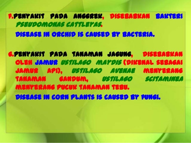 8 9 Hama Penyakit Pd Tanaman