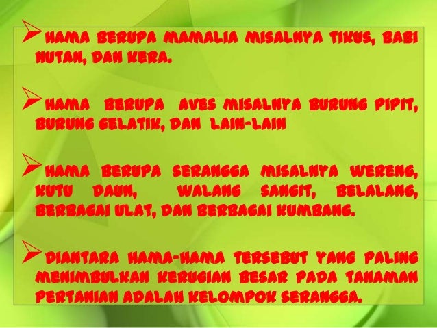 8 9 Hama Penyakit Pd Tanaman