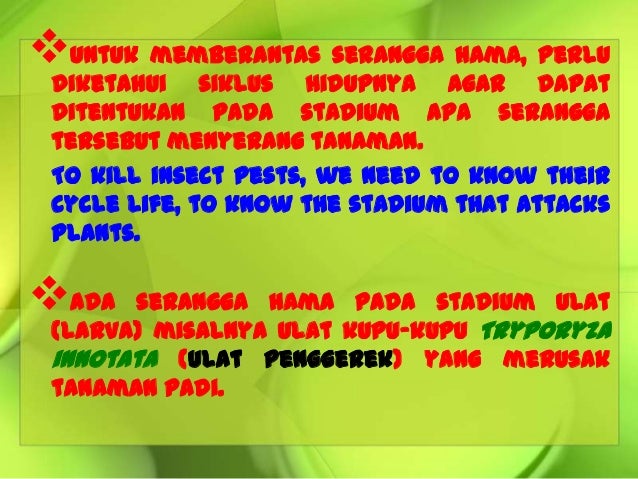 8 9 Hama Penyakit Pd Tanaman