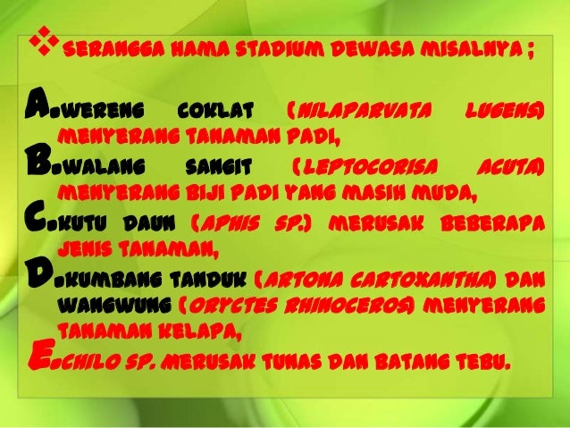 8 9 Hama Penyakit Pd Tanaman