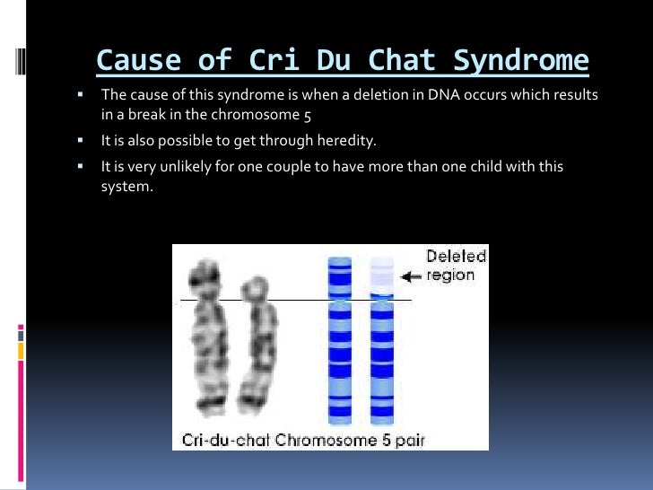 8 9 a, megan itzkowitz, cri du chat syndrome