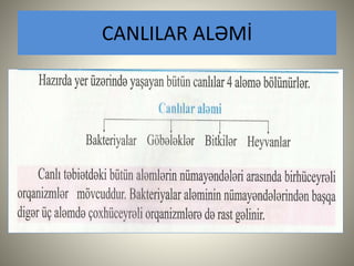 CANLILAR ALƏMİ
 