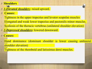 O Shoulders
O 1-Elevated shoulders: raised upward.
O Causes:
- Tightness in the upper trapezius and levator scapulae muscles
- Elongated and weak lower trapezius and pectoralis minor muscles.
- Scoliosis of the thoracic vertebrae.(unilateral shoulder elevation)
O 2-Depressed shoulders: lowered downward.
O Causes:
- Hand dominance (dominant shoulder is lower causing unilateral
shoulder elevation)
- Tightness of the rhomboid and latissimus dorsi muscles.
 