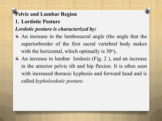 Pelvic and Lumbar Region
1. Lordotic Posture
Lordotic posture is characterized by:
An increase in the lumbosacral angle (the angle that the
superiorborder of the first sacral vertebral body makes
with the horizontal, which optimally is 30o),
An increase in lumbar lordosis (Fig. 2 ), and an increase
in the anterior pelvic tilt and hip flexion. It is often seen
with increased thoracic kyphosis and forward head and is
called kypholordotic posture.
 