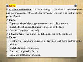 O Knee
O 3- Genu Recurvatum: "Back Kneeing": The knee is Hyperextended
and the gravitational stresses lie far forward of the joint axis. Ankle joint is
plantarflexed.
O Causes
 Tightness of quadriceps, gastrocnemius, and soleus muscles.
 Stretched popliteus and hamstring muscles at the knee
 Compression forces anteriorly.
O 4-Flexed Knee.. the plumb line falls posterior to the joint axis.
O Causes
 Tightness of hamstring muscles at the knee. and tight gastrocnemius
muscles
 Stretched quadriceps muscles.
 Posterior compression forces.
 Bony and soft tissue limitation.
 
