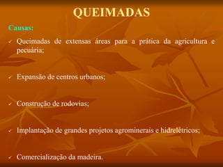 Causas:
 Queimadas de extensas áreas para a prática da agricultura e
pecuária;
 Expansão de centros urbanos;
 Construção de rodovias;
 Implantação de grandes projetos agrominerais e hidrelétricos;
 Comercialização da madeira.
QUEIMADAS
 