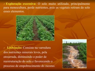  Exploração excessiva: O solo muito utilizado, principalmente
para monocultura, perde nutrientes, pois os vegetais retiram do solo
esses elementos.
 Lixiviação: Consiste na varredura
dos nutrientes minerais leves, pela
enxurrada, diminuindo o poder de
reestruturação do solo e favorecendo o
processo de empobrecimento do mesmo.
 