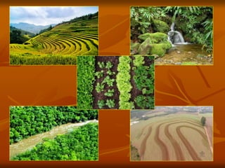 8 - A. A. Meio Terrestre - 23-11 (1).ppt