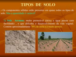 TIPOS DE SOLO
 Os componentes sólidos estão presentes em quase todos os tipos de
solo. Mas a quantidade é variável!
1) Solo Arenoso: muito permeável (deixa a água passar com
facilidade) , o que dificulta o desenvolvimento da vida vegetal.
Contém aproximadamente 70% de areia e é muito poroso.
 