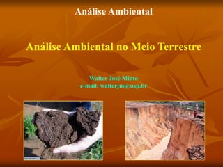 Análise Ambiental
Análise Ambiental no Meio Terrestre
Walter José Minto
e-mail: walterjm@usp.br
 