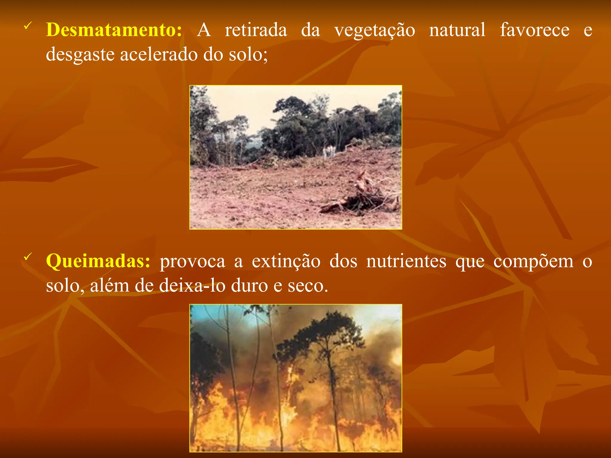  Desmatamento: A retirada da vegetação natural favorece e
desgaste acelerado do solo;
 Queimadas: provoca a extinção dos nutrientes que compõem o
solo, além de deixa-lo duro e seco.
 