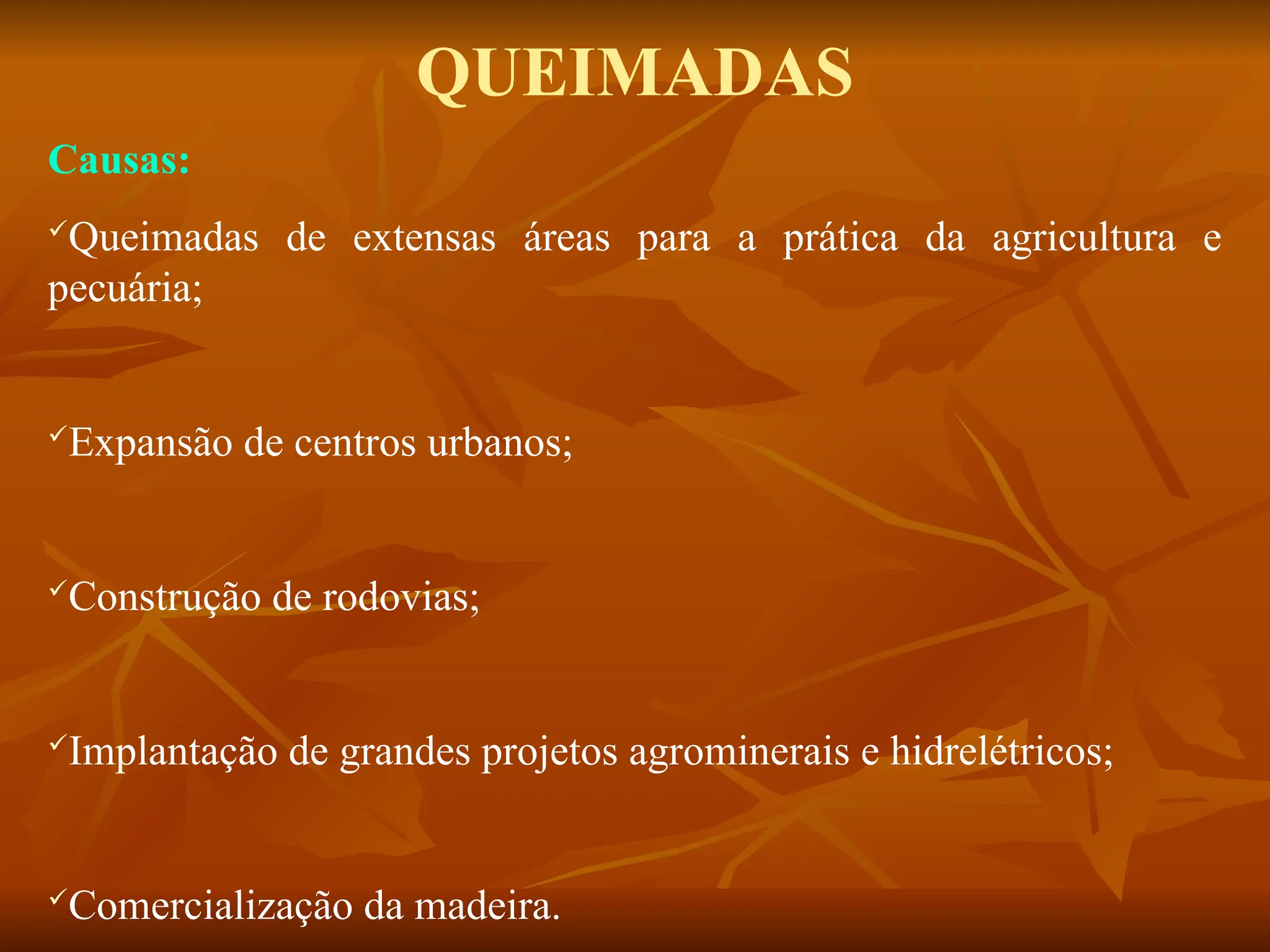 Causas:
Queimadas de extensas áreas para a prática da agricultura e
pecuária;
Expansão de centros urbanos;
Construção de rodovias;
Implantação de grandes projetos agrominerais e hidrelétricos;
Comercialização da madeira.
QUEIMADAS
 