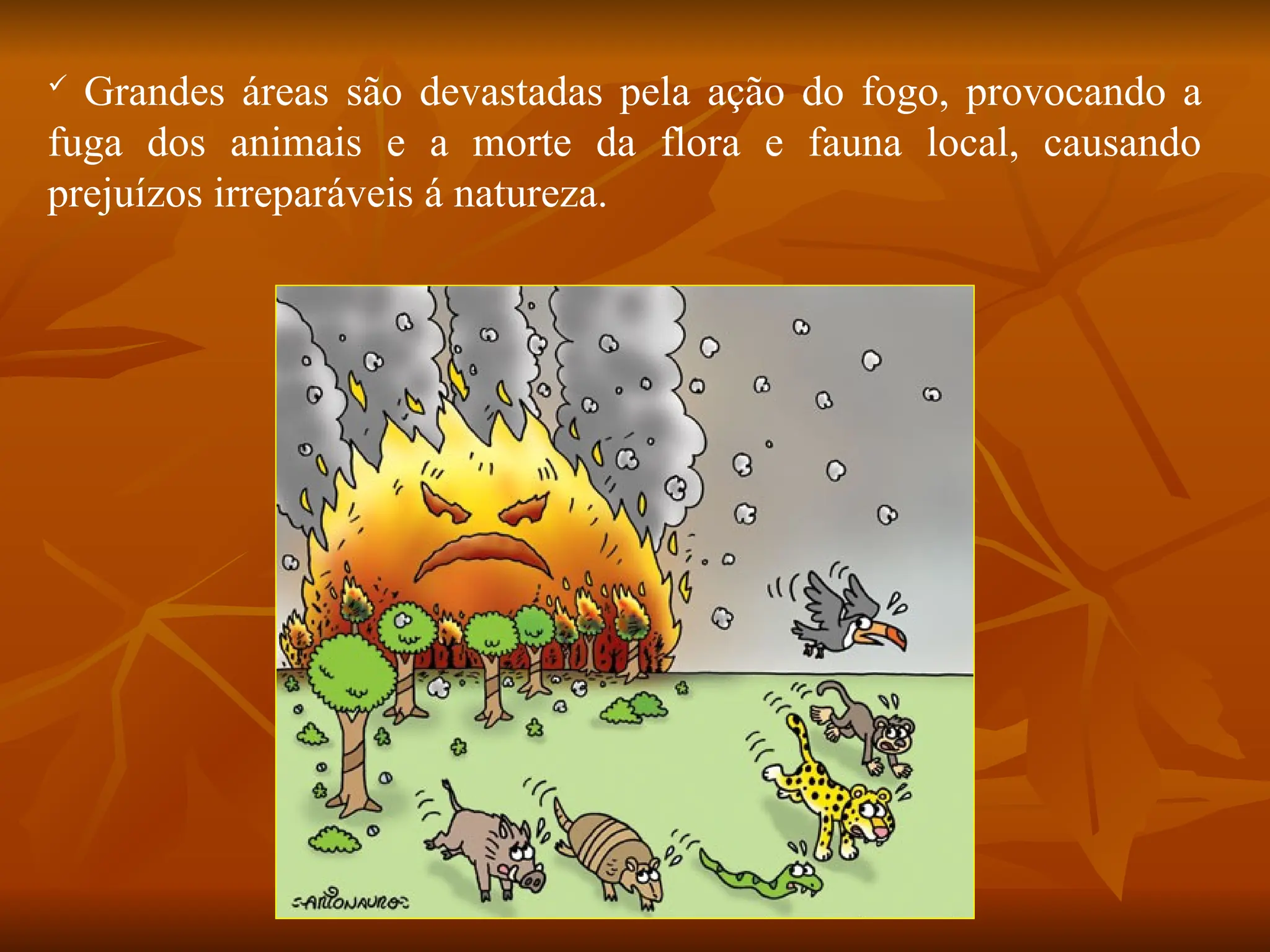  Grandes áreas são devastadas pela ação do fogo, provocando a
fuga dos animais e a morte da flora e fauna local, causando
prejuízos irreparáveis á natureza.
 