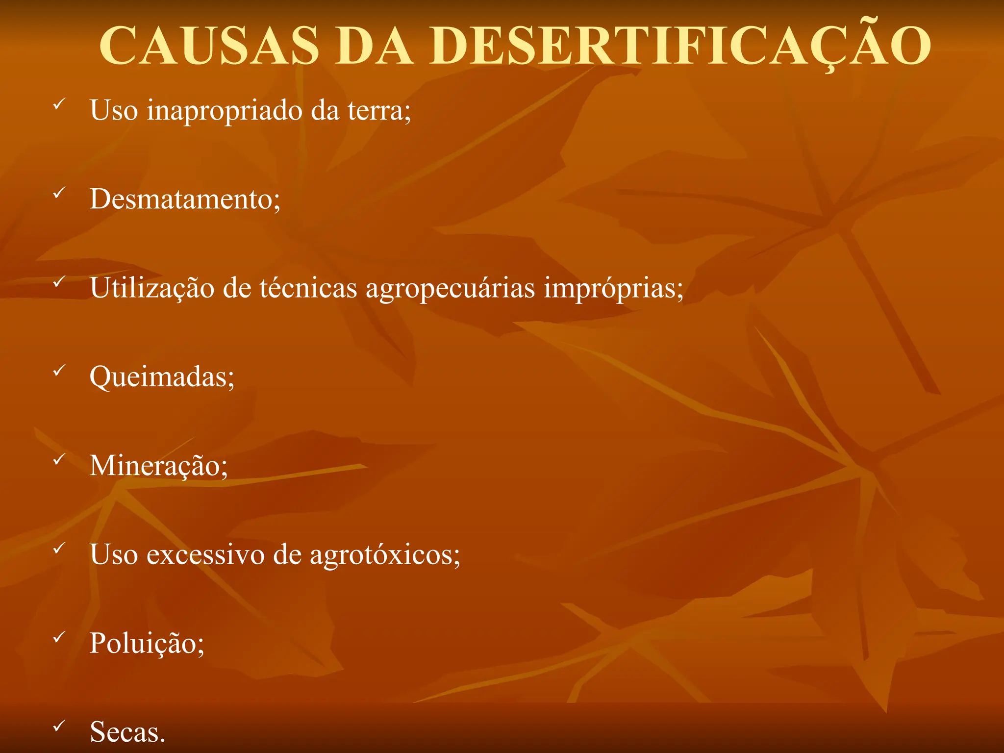 Uso inapropriado da terra;
 Desmatamento;
 Utilização de técnicas agropecuárias impróprias;
 Queimadas;
 Mineração;
 Uso excessivo de agrotóxicos;
 Poluição;
 Secas.
CAUSAS DA DESERTIFICAÇÃO
 