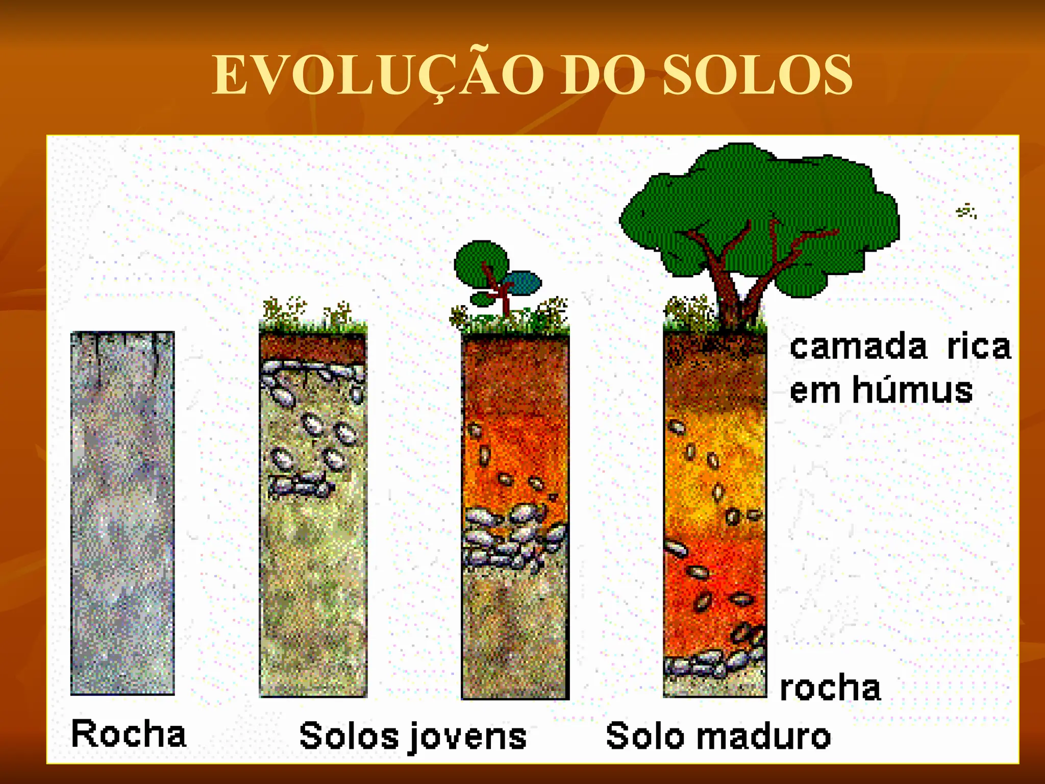EVOLUÇÃO DO SOLOS
 