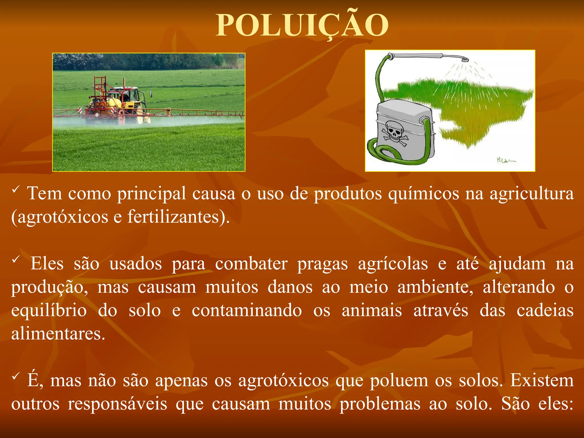  Tem como principal causa o uso de produtos químicos na agricultura
(agrotóxicos e fertilizantes).
 Eles são usados para combater pragas agrícolas e até ajudam na
produção, mas causam muitos danos ao meio ambiente, alterando o
equilíbrio do solo e contaminando os animais através das cadeias
alimentares.
 É, mas não são apenas os agrotóxicos que poluem os solos. Existem
outros responsáveis que causam muitos problemas ao solo. São eles:
POLUIÇÃO
 