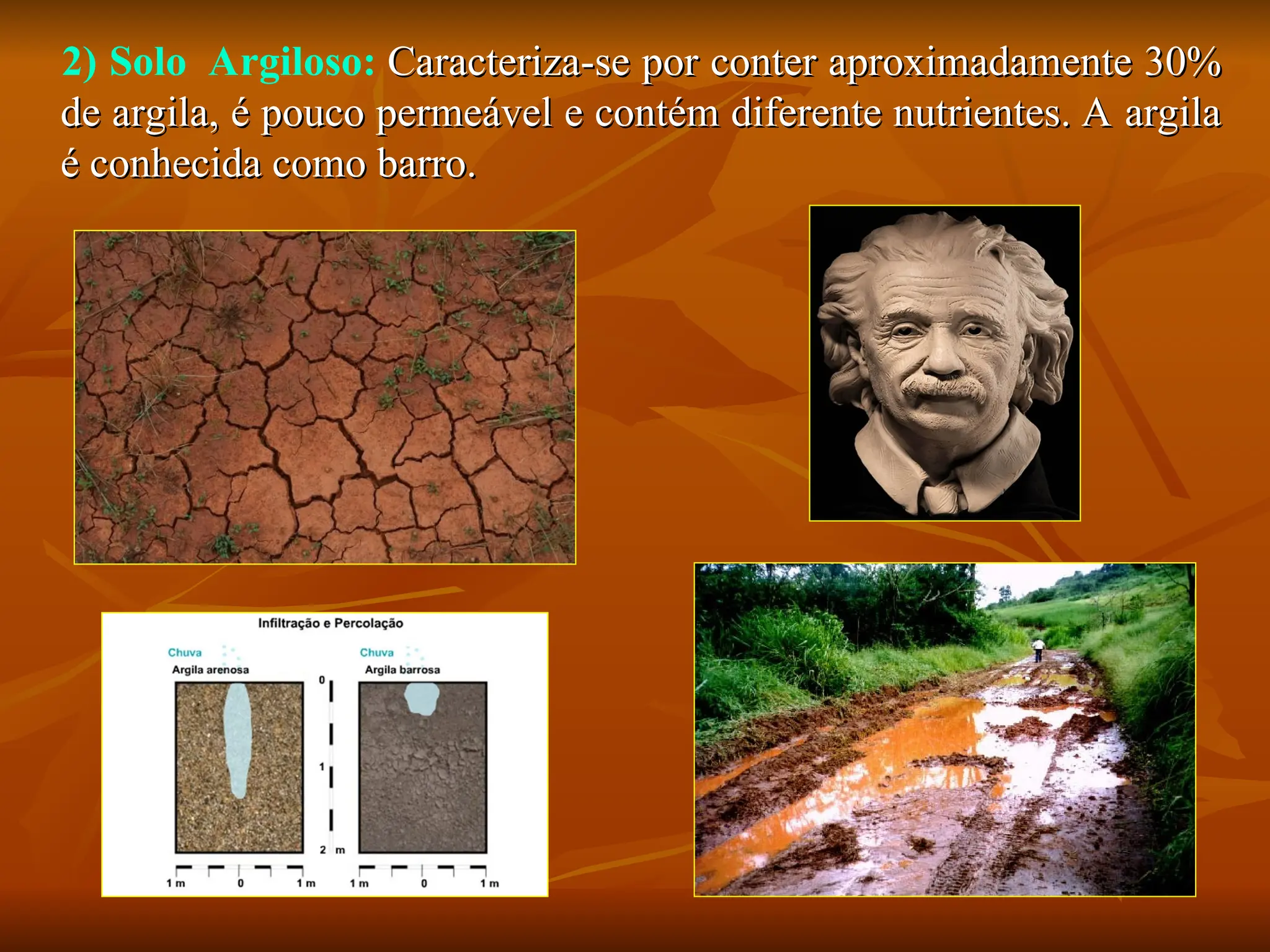 2) Solo Argiloso: Caracteriza-se por conter aproximadamente 30%
Caracteriza-se por conter aproximadamente 30%
de argila, é pouco permeável e contém diferente nutrientes. A argila
de argila, é pouco permeável e contém diferente nutrientes. A argila
é conhecida como barro.
é conhecida como barro.
 