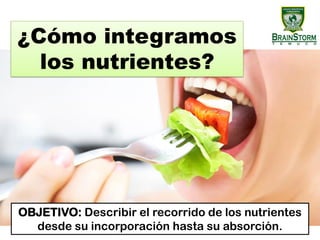 ¿Cómo integramos
los nutrientes?
OBJETIVO: Describir el recorrido de los nutrientes
desde su incorporación hasta su absorción.
 
