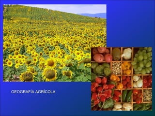 GEOGRAFÍA AGRÍCOLA
 