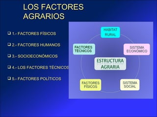 LOS FACTORES
       AGRARIOS
 1.- FACTORES FÍSICOS

 2.- FACTORES HUMANOS

 3.- SOCIOECONÓMICOS

 4.- LOS FACTORES TÉCNICOS

 5.- FACTORES POLÍTICOS
 