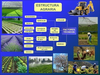 ESTRUCTURA
  AGRARIA
 