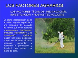 LOS FACTORES AGRARIOS
      LOS FACTORES TÉCNICOS. MECANIZACIÓN,
      INVESTIGACIÓN Y NUEVAS TECNOLOGÍAS
La plena incorporación de la
actividad agraria española a
una economía de mercado
ha hecho que estos factores
-mecanización, fertilizantes,
productos fitosanitarios y la
investigación       aplicada-
tengan una gran incidencia.
Todos los factores técnicos
persiguen     aumentar      y
adelantar la producción y
disminuir los costes por
mano de obra.
 