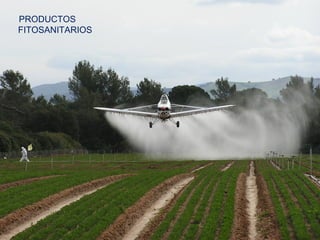 PRODUCTOS
FITOSANITARIOS
 