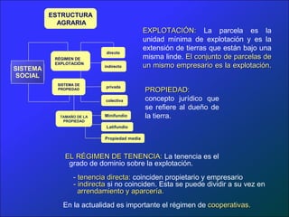 ESTRUCTURA
            AGRARIA
                                               EXPLOTACIÓN: La parcela es la
                                               unidad mínima de explotación y es la
                                               extensión de tierras que están bajo una
                              directo
           RÉGIMEN DE                          misma linde. El conjunto de parcelas de
SISTEMA
           EXPLOTACIÓN
                             indirecto         un mismo empresario es la explotación.
 SOCIAL
            SISTEMA DE
                                               PROPIEDAD:
                             privada
            PROPIEDAD


                             colectiva         concepto jurídico que
                                               se refiere al dueño de
             TAMAÑO DE LA    Minifundio        la tierra.
              PROPIEDAD
                             Latifundio

                             Propiedad media



               EL RÉGIMEN DE TENENCIA: La tenencia es el
                grado de dominio sobre la explotación.
                   - tenencia directa: coinciden propietario y empresario
                   - indirecta si no coinciden. Esta se puede dividir a su vez en
                     arrendamiento y aparcería.
              En la actualidad es importante el régimen de cooperativas.
 