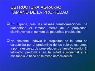 ESTRUCTURA AGRARIA:
  TAMAÑO DE LA PROPIEDAD

 En España, tras las últimas transformaciones, ha
  aumentado el tamaño medio de la propiedad,
  disminuyendo el número de pequeños propietarios.

 No obstante, todavía la propiedad de la tierra se
  caracteriza por el predominio de los valores extremos
  y por la escasez de propiedades de tamaño medio. El
  latifundio predomina en la mitad sur-oriental y el
  minifundio lo hace en la mitad noroccidental.
 