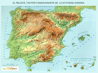 EL RELIEVE, FACTOR CONDICIONANTE DE LA ACTIVIDAD AGRARIA
 