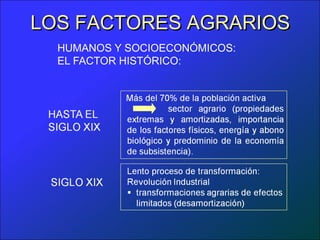 LOS FACTORES AGRARIOS
  HUMANOS Y SOCIOECONÓMICOS:
  EL FACTOR HISTÓRICO:
 