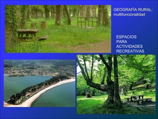 GEOGRAFÍA RURAL:
multifuncionalidad




 ESPACIOS
 PARA
 ACTIVIDADES
 RECREATIVAS
 