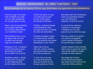 MIGUEL HERNANDEZ: “EL NIÑO YUNTERO”, 1937
En el contexto de la Guerra Civil en que dominaba una agricultura de subsistencia

Carne de yugo, ha nacido      Contar sus años no sabe,        Me duele este niño hambriento
más humillado que bello,      y ya sabe que el sudor          como una grandiosa espina,
con el cuello perseguido      es una corona grave             y su vivir ceniciento
por el yugo para el cuello.   de sal para el labrador.        resuelve mi alma de encina.

Nace, como la herramienta,    Trabaja, y mientras trabaja     Le veo arar los rastrojos,
a los golpes destinado,       masculinamente serio,           y devorar un mendrugo,
de una tierra descontenta     se unge de lluvia y se alhaja   u declarar con los ojos
y un insatifecho arado.       de carne de cementerio.         que por qué es carne de yugo.

Entre estiércol puro y vivo   A fuerza de golpes, fuerte,     Me da su arado en el pecho,
de vacas, trae a la vida      y a fuerza de sol, bruñido,     y su vida en la garganta,
un alma color de olivo        con una ambición de muerte      y sufro viendo el barbecho
vieja ya y encallecida.       despedaza un pan reñido.        tan grande bajo su planta.

Empieza a vivir, y empieza    Cada nuevo día es               ¿Quién salvará a este chiquillo
a morir de punta a punta      más raíz, menos criatura,       menor que un grano de avena?
levantando la corteza         que escucha bajo sus pies       ¿De dónde saldrá el martillo
de su madre con la yunta.     la voz de la sepurtura.         verdugo de esta cadena?

Empieza a sentir, y siente    Y como raíz se hunde            Que salga del corazón
la vida como una guerra,      en la tierra lentamente         de los hombres jornaleros,
y a dar fatigosamente         para que la tierra inunde       que antes de ser hombres son
en los huesos de la tierra.   de paz y panes su frente.       y han sido niños yunteros.
 