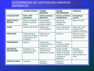 LA DIVERSIDAD DE LOS PAISAJES AGRARIOS
ESPAÑOLES
 