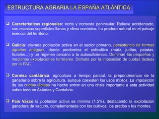 ESTRUCTURA AGRARIA LA ESPAÑA ATLÁNTICA

 Características regionales: norte y noroeste peninsular. Relieve accidentado,
  con escasas superficies llanas y clima oceánico. La pradera natural es el paisaje
  esencia del territorio.

 Galicia: elevada población activa en el sector primario, persistencia de formas
  agrarias antiguas, donde predomina el policultivo (maíz, judías, patatas,
              antiguas
  frutales...) y un régimen cercano a la autosuficiencia. Dominan las pequeñas y
  medianas explotaciones familiares. Dañada por la imposición de cuotas lácteas
  por la PAC.

 Cornisa cantábrica: agricultura a tiempo parcial, la preponderancia de la
  ganadería sobre la agricultura, aunque coexisten los usos mixtos. La imposición
  de las cuotas lácteas ha hecho entrar en una crisis importante a esta actividad
  sobre todo en Asturias y Cantabria.

 País Vasco la población activa es mínima (1,5%), destacando la explotación
  ganadera de vacuno, complementada con los cultivos, los prados y los montes.
 