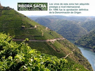 Los vinos de esta zona han adquirido
prestigio a nivel internacional.
En 1996 fue la aprobación definitiva
de la Denominación de Origen
 
