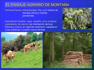 EL PAISAJE AGRARIO DE MONTAÑA
 