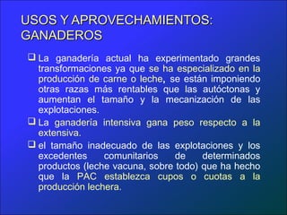 USOS Y APROVECHAMIENTOS:
GANADEROS
 La ganadería actual ha experimentado grandes
  transformaciones ya que se ha especializado en la
  producción de carne o leche, se están imponiendo
  otras razas más rentables que las autóctonas y
  aumentan el tamaño y la mecanización de las
  explotaciones.
 La ganadería intensiva gana peso respecto a la
  extensiva.
 el tamaño inadecuado de las explotaciones y los
  excedentes     comunitarios    de    determinados
  productos (leche vacuna, sobre todo) que ha hecho
  que la PAC establezca cupos o cuotas a la
  producción lechera.
 